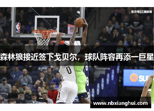 森林狼接近签下戈贝尔，球队阵容再添一巨星